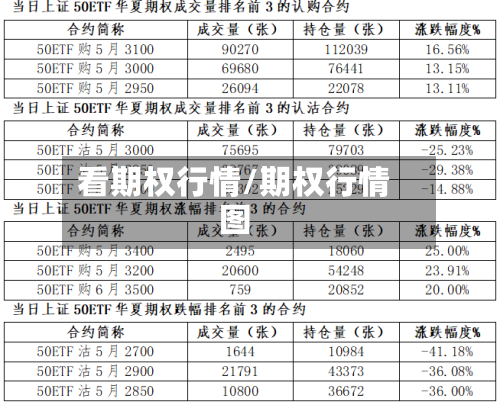 看期权行情/期权行情图