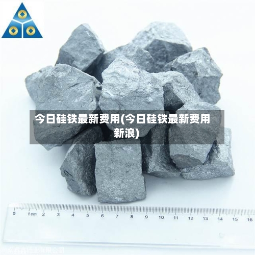 今日硅铁最新费用(今日硅铁最新费用 新浪)-第3张图片