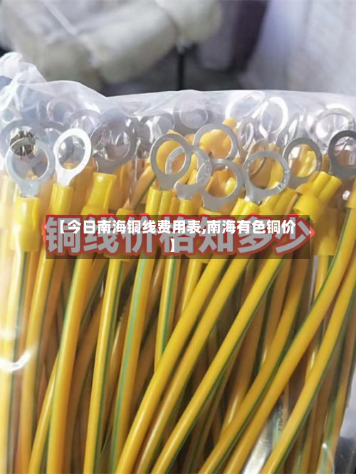 【今日南海铜线费用表,南海有色铜价】-第3张图片