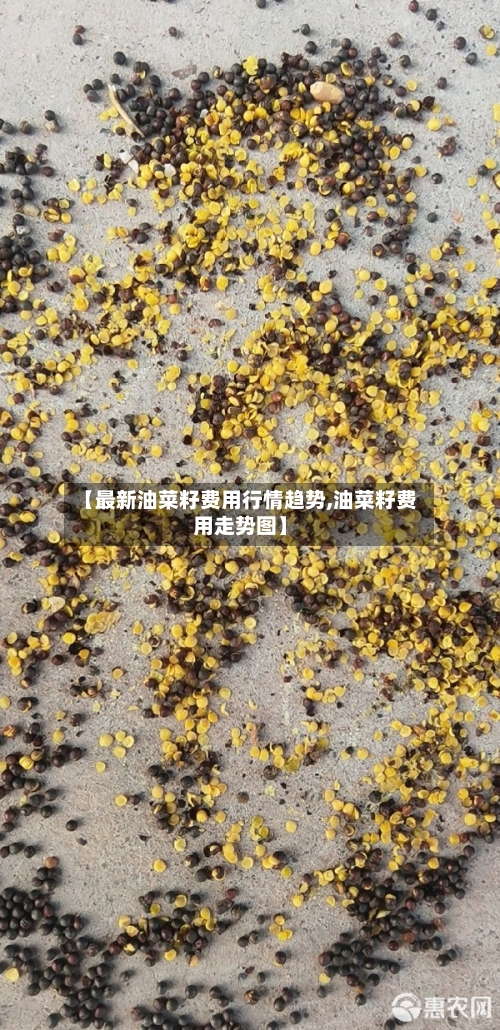 【最新油菜籽费用行情趋势,油菜籽费用走势图】-第2张图片