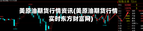 美原油期货行情资讯(美原油期货行情 实时东方财富网)