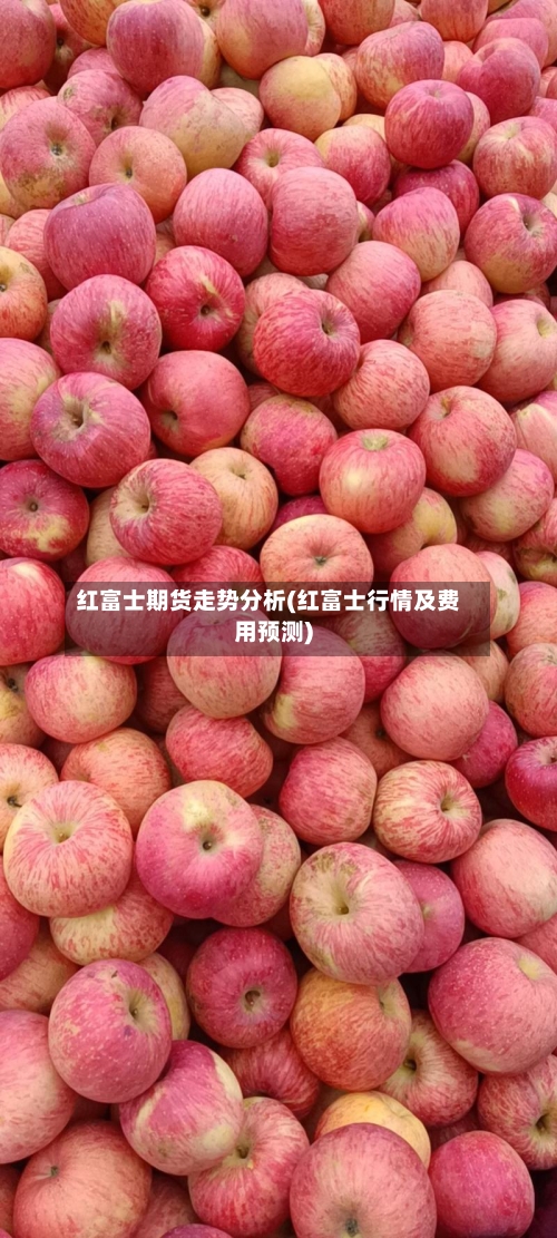 红富士期货走势分析(红富士行情及费用预测)