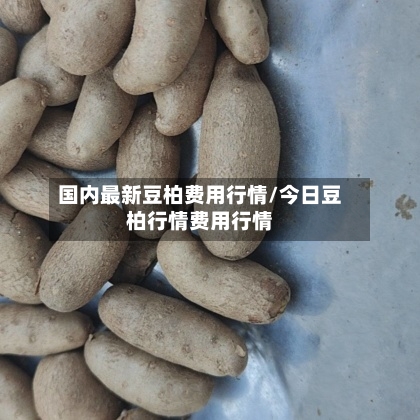 国内最新豆柏费用行情/今日豆柏行情费用行情-第2张图片