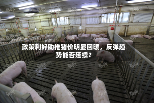 政策利好助推猪价明显回暖，反弹趋势能否延续？
