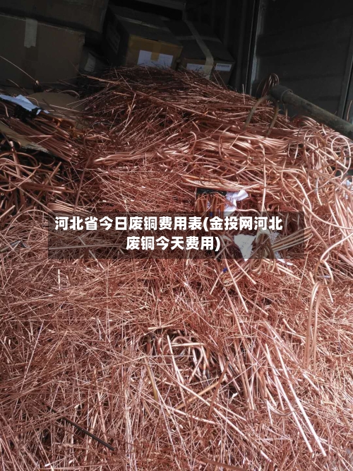 河北省今日废铜费用表(金投网河北废铜今天费用)-第2张图片