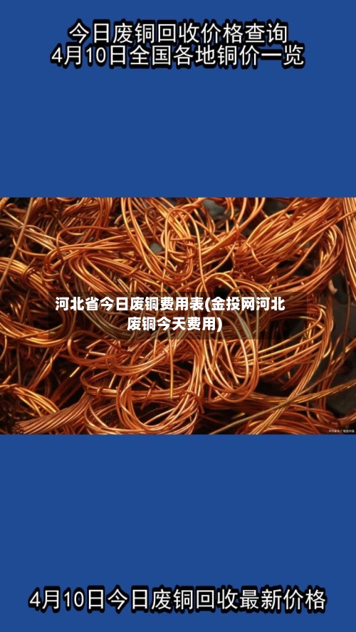 河北省今日废铜费用表(金投网河北废铜今天费用)-第3张图片