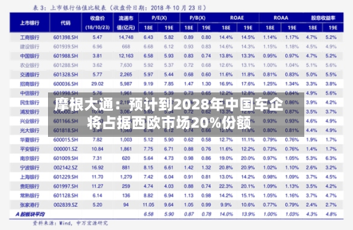 摩根大通：预计到2028年中国车企将占据西欧市场20%份额-第3张图片