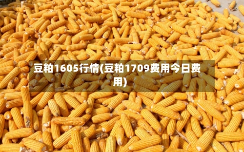 豆粕1605行情(豆粕1709费用今日费用)