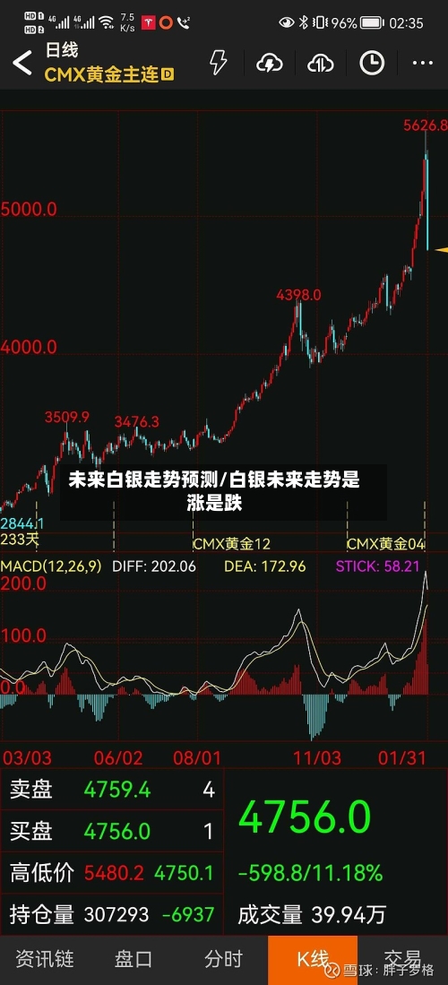 未来白银走势预测/白银未来走势是涨是跌