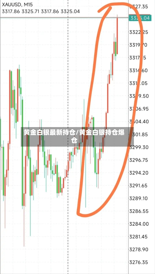 黄金白银最新持仓/黄金白银持仓爆仓-第2张图片