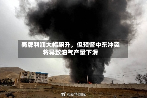 壳牌利润大幅飙升	，但预警中东冲突将导致油气产量下滑-第3张图片