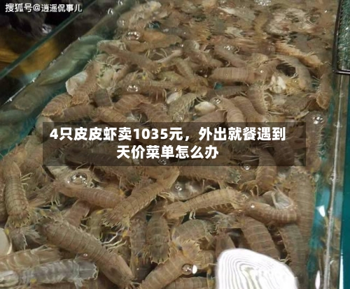 4只皮皮虾卖1035元，外出就餐遇到天价菜单怎么办
