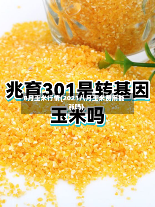 8月玉米行情(2021八月玉米费用能涨吗)-第3张图片