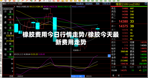 橡胶费用今日行情走势/橡胶今天最新费用走势-第3张图片