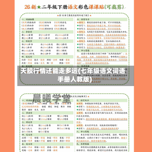 天胶行情还能走多远(七年级语文词语手册人教版)-第2张图片