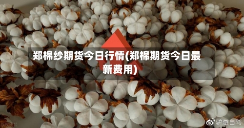 郑棉纱期货今日行情(郑棉期货今日最新费用)