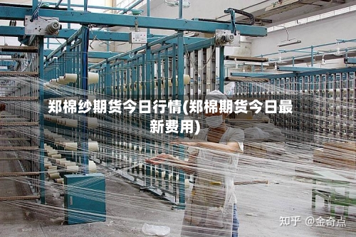 郑棉纱期货今日行情(郑棉期货今日最新费用)-第2张图片