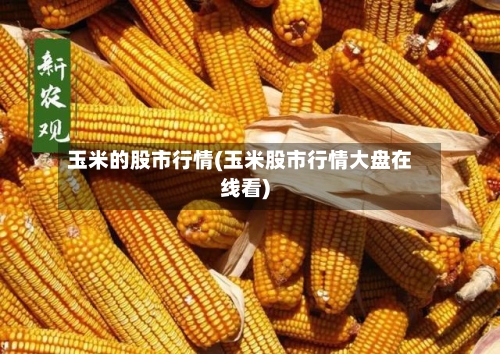 玉米的股市行情(玉米股市行情大盘在线看)-第2张图片