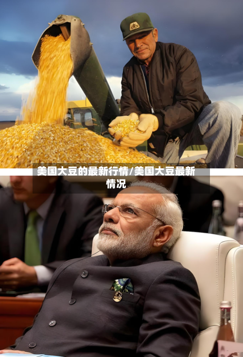 美国大豆的最新行情/美国大豆最新情况-第2张图片