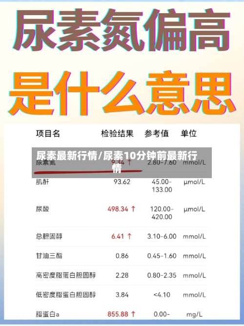 尿素最新行情/尿素10分钟前最新行情