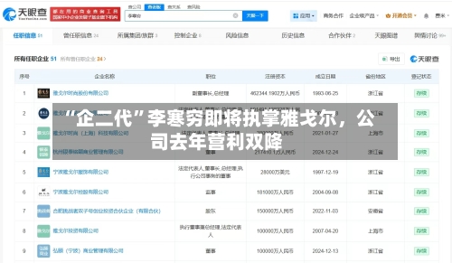 “企二代”李寒穷即将执掌雅戈尔，公司去年营利双降-第3张图片