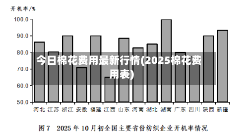 今日棉花费用最新行情(2025棉花费用表)-第2张图片