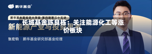 长城基金陈良栋：关注能源化工等涨价板块