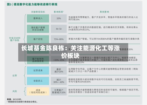 长城基金陈良栋：关注能源化工等涨价板块-第3张图片