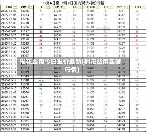 棉花费用今日报价最新(棉花费用实时行情)