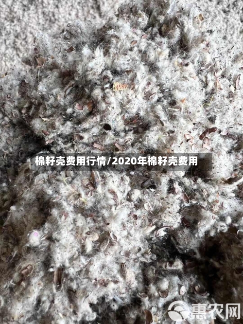 棉籽壳费用行情/2020年棉籽壳费用-第2张图片