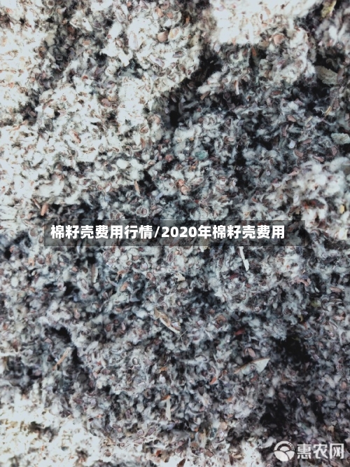 棉籽壳费用行情/2020年棉籽壳费用