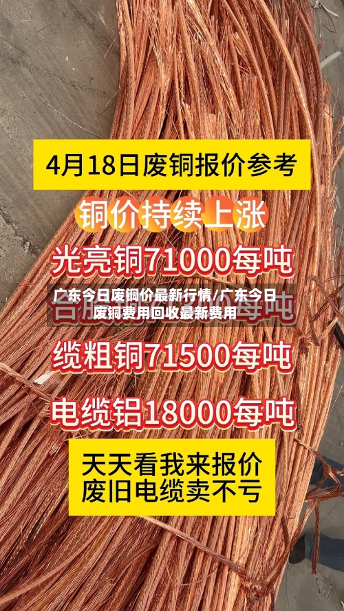 广东今日废铜价最新行情/广东今日废铜费用回收最新费用