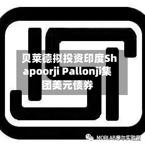 贝莱德拟投资印度Shapoorji Pallonji集团美元债券