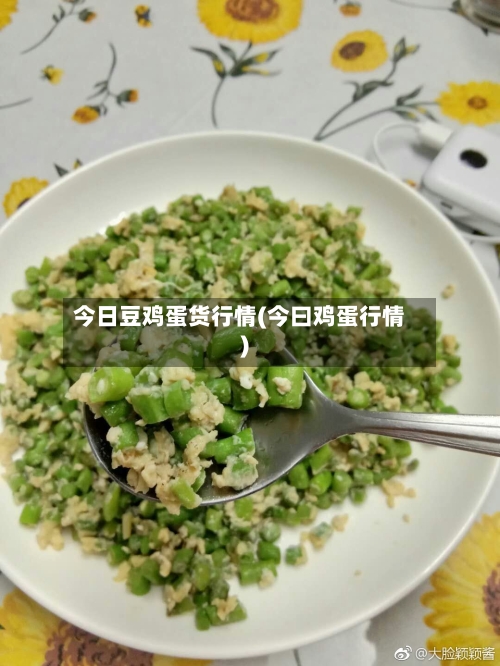 今日豆鸡蛋货行情(今曰鸡蛋行情)-第3张图片