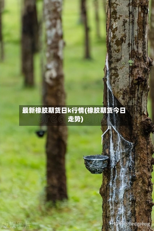 最新橡胶期货日k行情(橡胶期货今日走势)