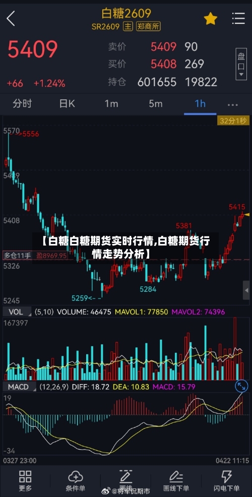 【白糖白糖期货实时行情,白糖期货行情走势分析】