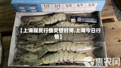 【上诲现货行情交替时间,上海今日行情】
