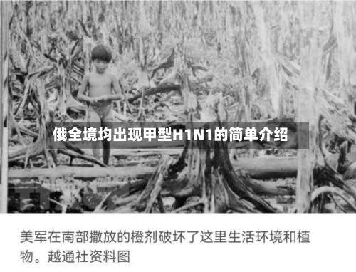 俄全境均出现甲型H1N1的简单介绍