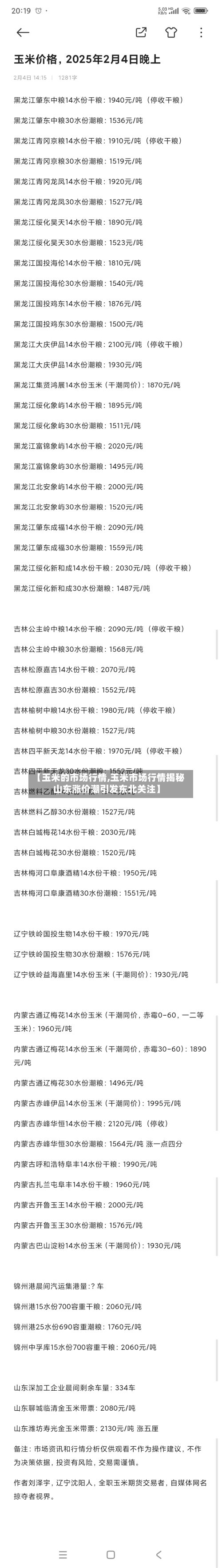 【玉米的市场行情,玉米市场行情揭秘山东涨价潮引发东北关注】