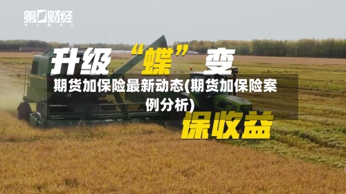 期货加保险最新动态(期货加保险案例分析)-第3张图片