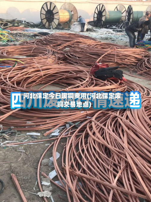 河北保定今日废铜费用(河北保定废铜交易地点)