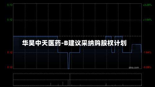 华昊中天医药-B建议采纳购股权计划