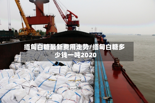 缅甸白糖最新费用走势/缅甸白糖多少钱一吨2020-第2张图片