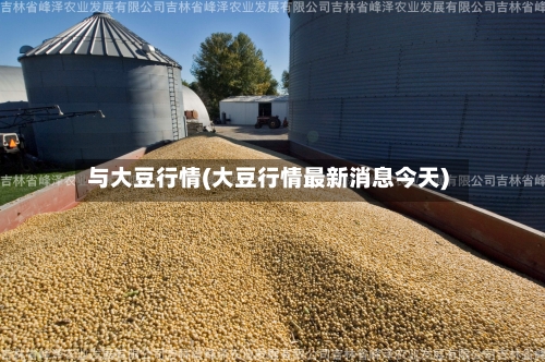 与大豆行情(大豆行情最新消息今天)