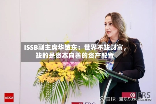 ISSB副主席华敬东：世界不缺财富，缺的是资本向善的资产配置