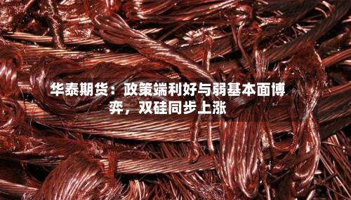 华泰期货：政策端利好与弱基本面博弈	，双硅同步上涨-第2张图片