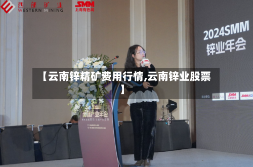 【云南锌精矿费用行情,云南锌业股票】
