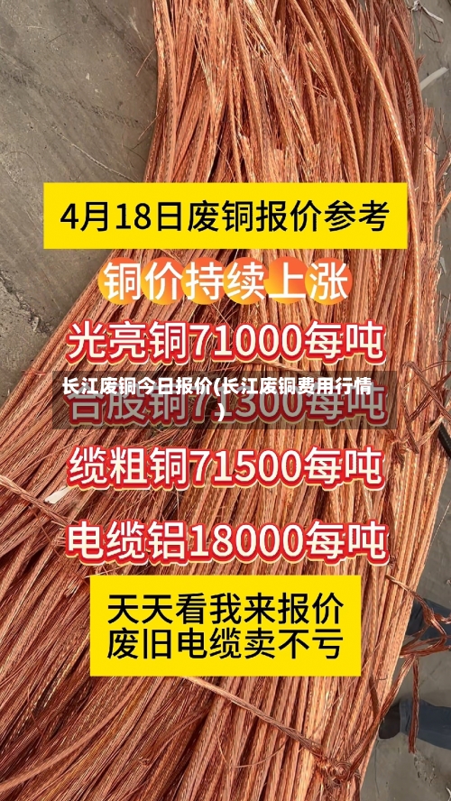 长江废铜今日报价(长江废铜费用行情)-第2张图片