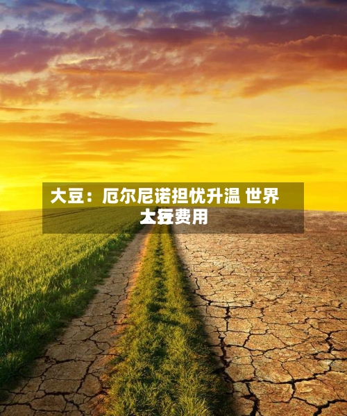 大豆：厄尔尼诺担忧升温 世界大豆费用上行