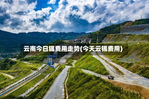 云南今日锡费用走势(今天云锡费用)-第3张图片